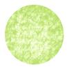 Sizoflor Circles Placemats, 12-Piece Set, Approx. 56 cm, 60K (May Green) view 1