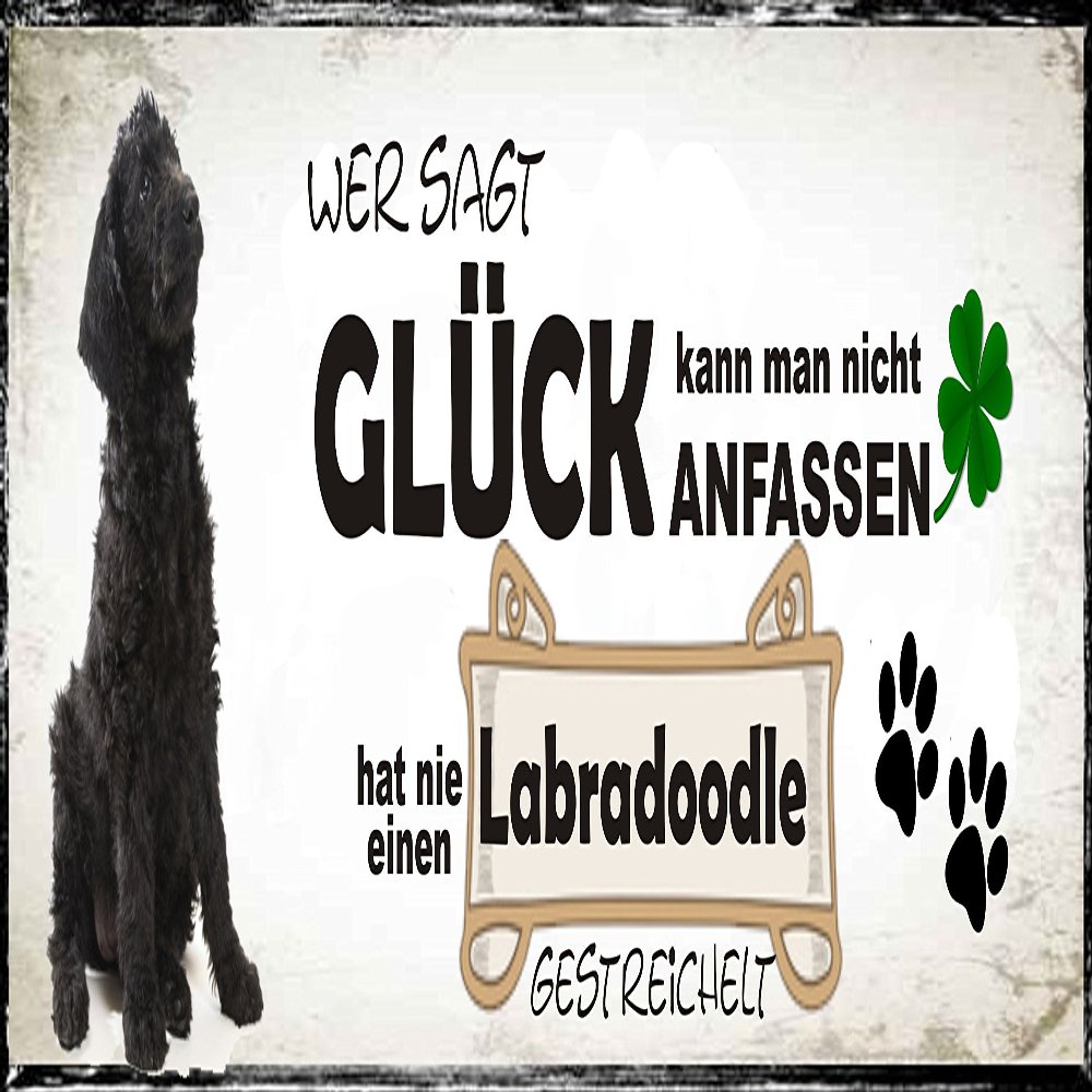 Creativ Deluxe Metal Sign: Whoever Says You Can't Touch Happiness Has Never Petted a Labradoodle