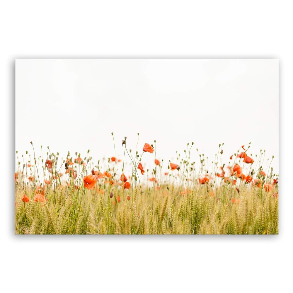 ge-Bildet Canvas Wall Art | Poppy Field, 120 x 80 cm | XXL Wall Décor | 2270-B