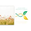ge-Bildet Canvas Wall Art | Poppy Field, 120 x 80 cm | XXL Wall Décor | 2270-B view 4