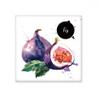 Fig Fruit Tasty Healthy Watercolor Ceramic Bisque Tiles Bathroom Decor Kitchen Ceramic Wall Tiles, sku00375828f23587-M view 1
