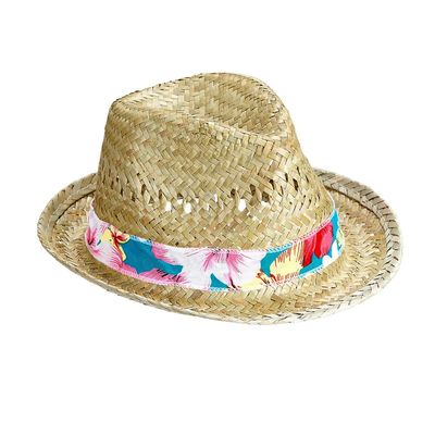 PARTY DISCOUNT NEW Beach Boys Straw Hat with Band