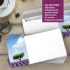 Lavender Design Envelopes, 25 Pack, DIN LANG, No Window view 2