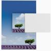 Lavender Design Envelopes, 25 Pack, DIN LANG, No Window view 4