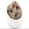 Jeomra Verlag–Georg Huber Dark Frankincense Shaabi, Boswellia sacra, from Oman, 25–250 g (25 g) view 1