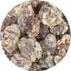 Jeomra Verlag–Georg Huber Dark Frankincense Shaabi, Boswellia sacra, from Oman, 25–250 g (25 g) view 2