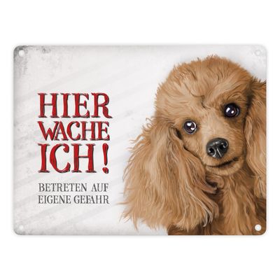 Metal Sign with Poodle Design: Enter at Your Own Risk—Dog on Duty!