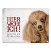 Metal Sign with Poodle Design: Enter at Your Own Risk—Dog on Duty! view 1