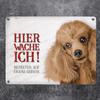 Metal Sign with Poodle Design: Enter at Your Own Risk—Dog on Duty! view 2
