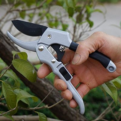 High-Quality Fruit Tree Branch and Bonsai Grafting Pruning Shears