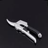 High-Quality Fruit Tree Branch and Bonsai Grafting Pruning Shears view 2