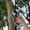 High-Quality Fruit Tree Branch and Bonsai Grafting Pruning Shears view 3