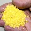 Superleaf Blooming Shaker, 473 ml, Corn Yellow view 1