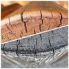 ELE STAIN PRO 10 Liters | Water-Based Wood Preservative for Outdoor Use view 4