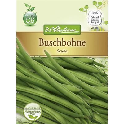 Chrestensen 'Scuba' Bush Bean Seeds