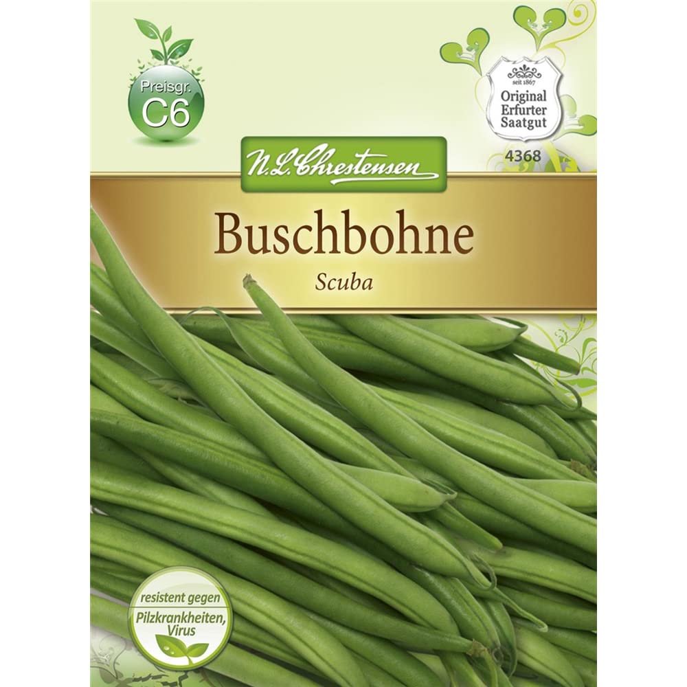 Chrestensen 'Scuba' Bush Bean Seeds