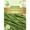 Chrestensen 'Scuba' Bush Bean Seeds view 1
