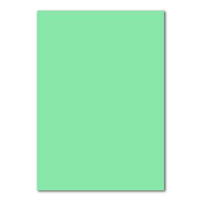 500 DIN A4 Sheets of Mint Green Paper, 160 gsm, 210 x 297 mm