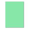 500 DIN A4 Sheets of Mint Green Paper, 160 gsm, 210 x 297 mm view 1