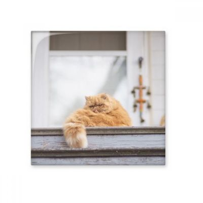 DIYthinker Glossy Ceramic Tile for Bathroom and Kitchen Wall Décor, Medium
