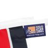 AZ FLAG Kenya Bunting 12 m, 20 Flags, Lightweight Polyester, 45 x 30 cm view 4