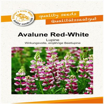 Avalune Red-White Lupine Flower Seeds, Portion