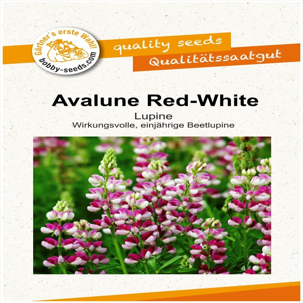 Avalune Red-White Lupine Flower Seeds, Portion