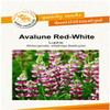 Avalune Red-White Lupine Flower Seeds, Portion view 1