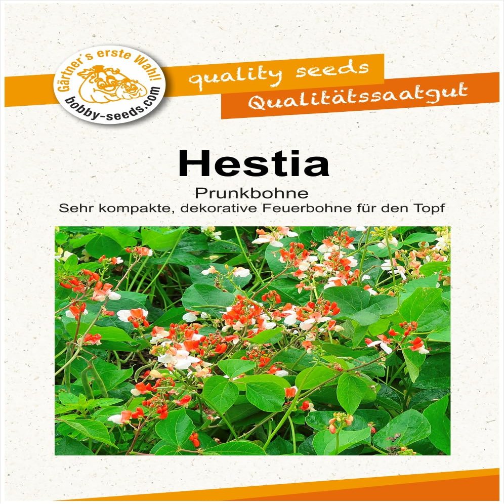 Hestia Runner Bean Seeds, Compact Portion