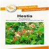 Hestia Runner Bean Seeds, Compact Portion view 1
