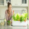 Click & Grow Smart Garden 9 Pods, Indoor Herb Garden Greenhouse, White view 4