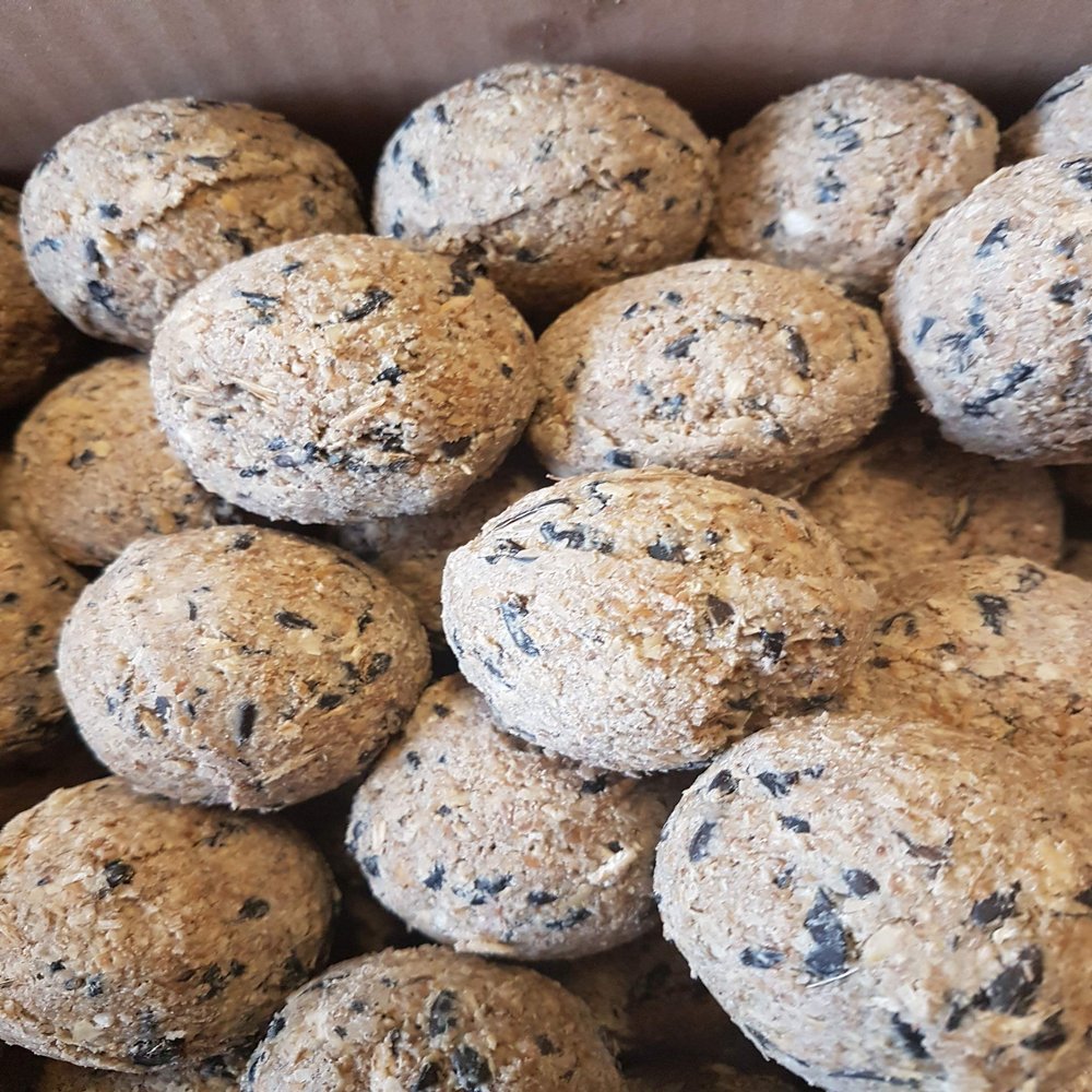 Suet Balls Without Net, 100 Count