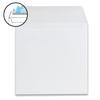 200 Square Envelopes - White - 16.5 x 16.5 cm - 120 gsm - Wet-Gummed Straight Flap view 3