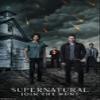 Trends International Supernatural Brothers Wall Poster, 22.375 x 34 in, Premium Unframed view 1