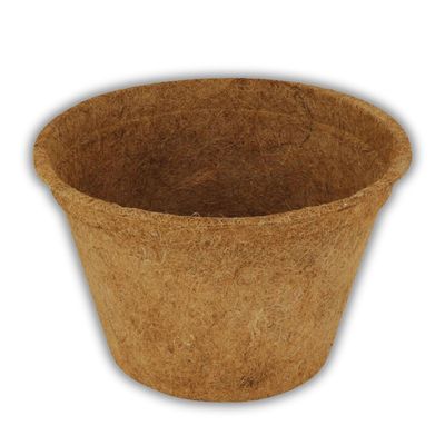 ProFlora Coconut Planting Pot for Successful Growing – Biodegradable Propagation Pot for Cuttings, Seedlings & Seeds (7.5 L, 1 pc)