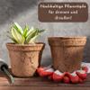 ProFlora Coconut Planting Pot for Successful Growing – Biodegradable Propagation Pot for Cuttings, Seedlings & Seeds (7.5 L, 1 pc) view 2