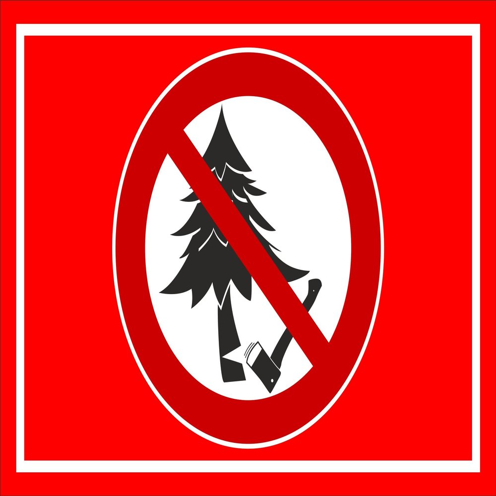Melis-Folienwerkstatt Tree Felling Prohibited Sign, 30 x 20 cm, 3 mm Rigid Foam Board, Multiple Sizes/Materials, with Drill Holes