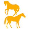 WANDKINGS Wall Decal – 2 Cute Horses – 135 x 56 cm – Pastel Orange view 3