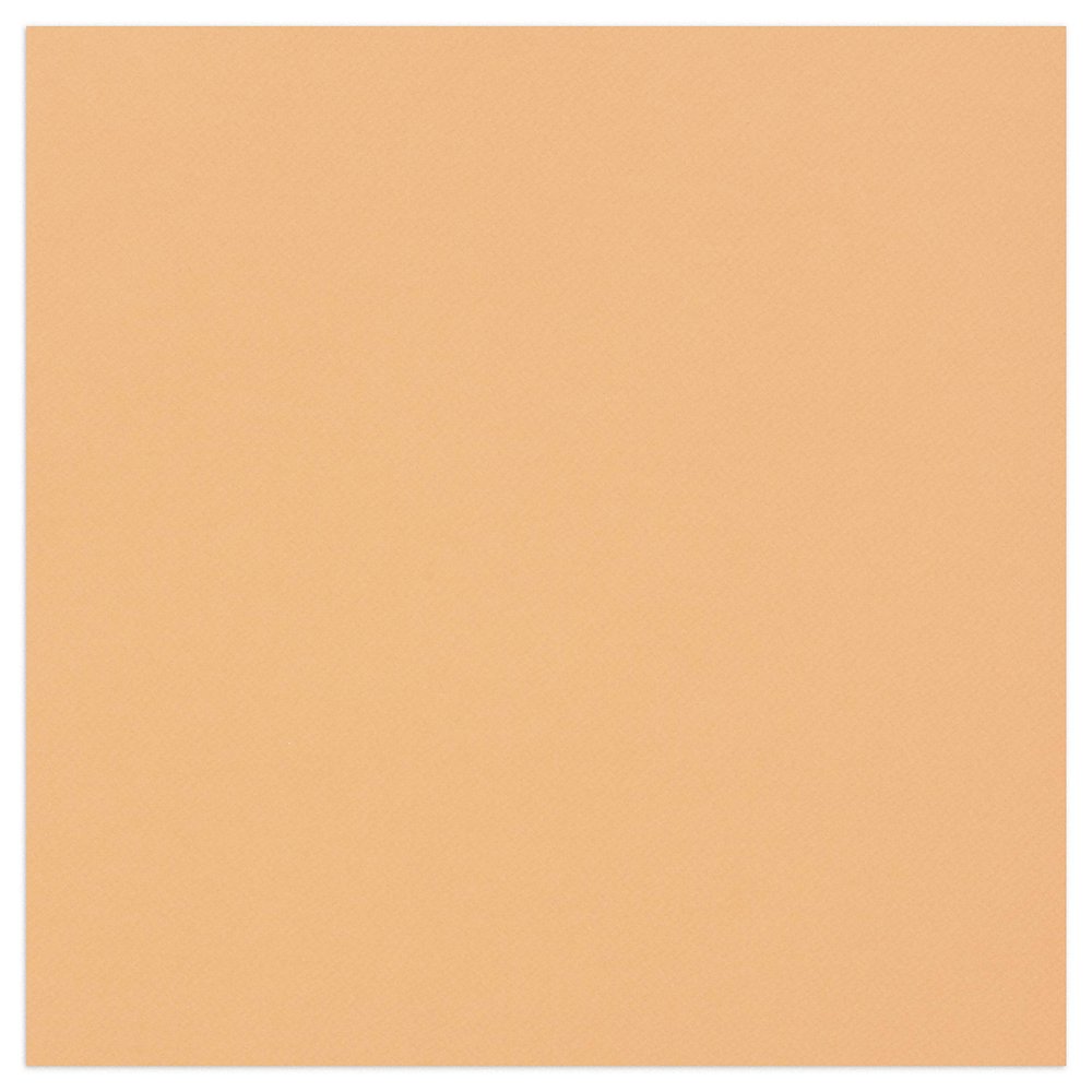 Clairefontaine Tulipe Drawing Paper, 50 Sheets, 160 gsm, A3, Acid-Free, Salmon