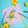 Clairefontaine Tulipe Drawing Paper, 100 Sheets, 160 gsm, A4, Acid-Free, Black view 4
