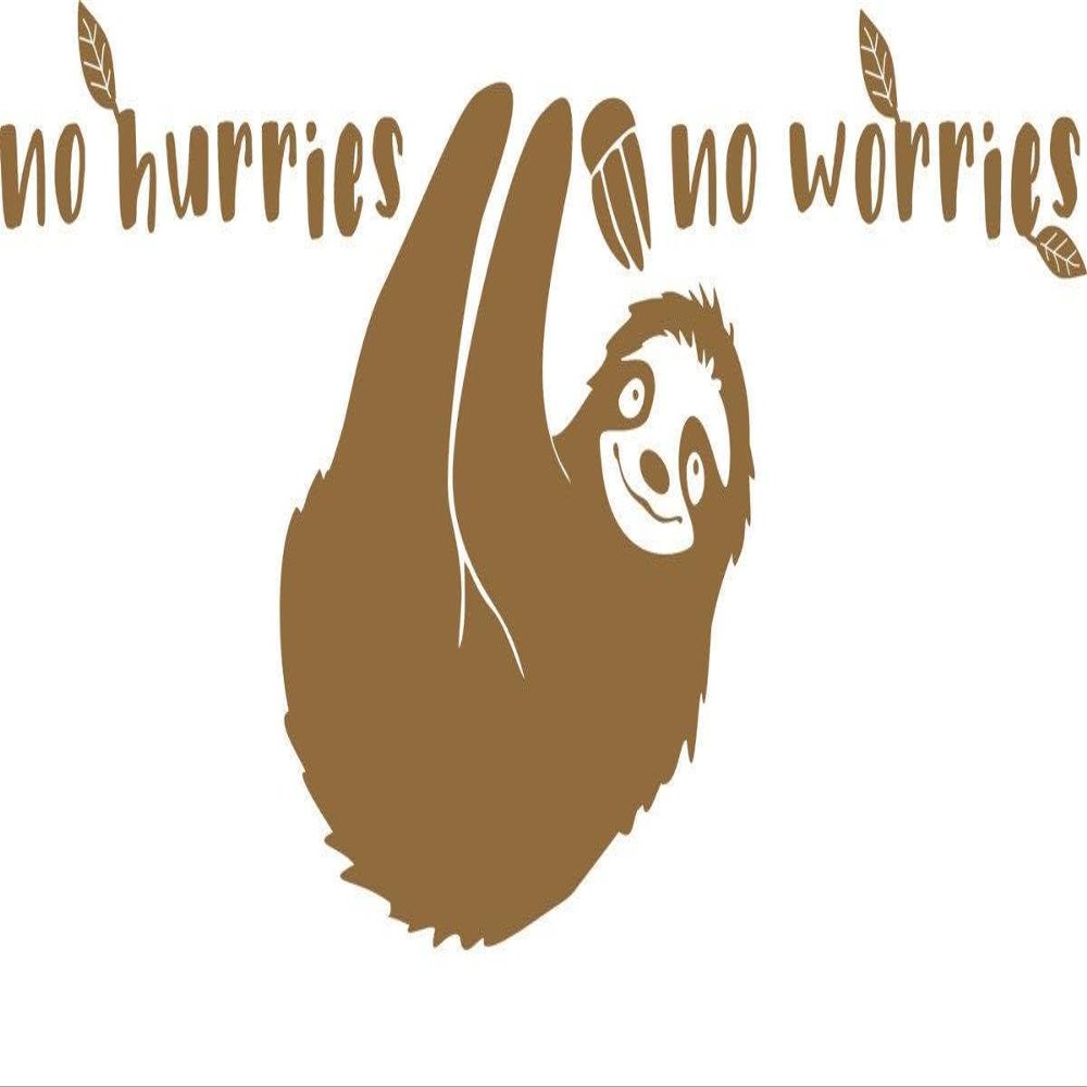 CLICKANDPRINT “no hurries no worries” Wall Decal, 40 x 18.3 cm, Copper