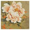 No-Count Cross-Stitch Embroidery Starter Kit, Blooming Peony, 61 x 61 cm, 11-Count Aida with Color-Printed Background view 1