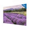 banjado Glass Memo Board, 90 x 60 cm, Floral and Botanical Design view 1