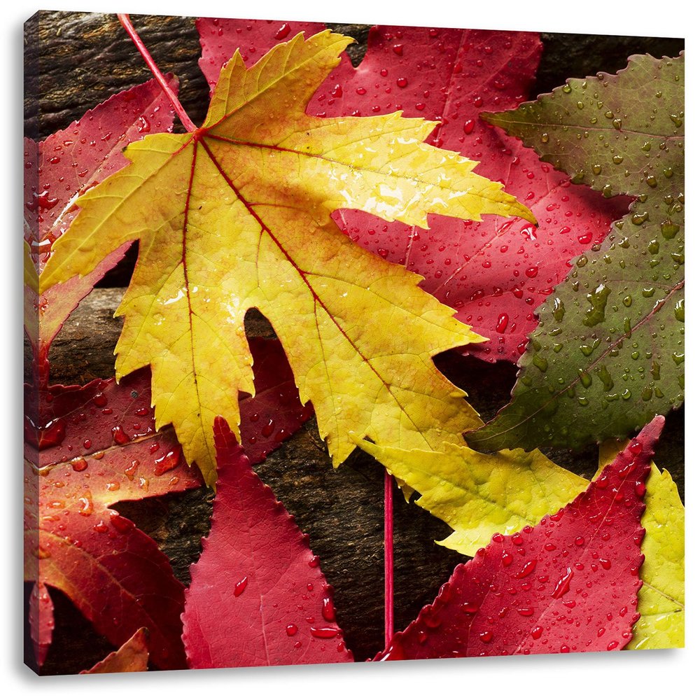 Pixxprint Colorful Autumn Leaves, 60 x 60 cm, Square Stretched Canvas Print
