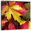 Pixxprint Colorful Autumn Leaves, 60 x 60 cm, Square Stretched Canvas Print view 1
