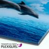 homeBLOCKrocks Love Tree PLEXIGLAS Refrigerator Magnet, 9 x 9 cm view 4