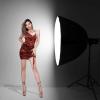 Pyxelstudio Flash Strobe Parabolic Softbox for 120 cm Softbox view 3