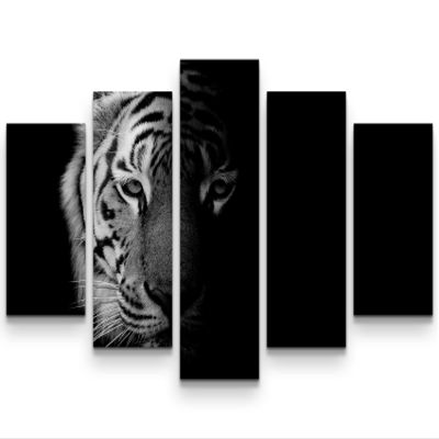 Eau Zone Canvas Wall Art 160 x 100 cm, Black-and-White Tiger Portrait