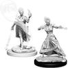 D&D Nolzur's Marvelous Miniatures - Fire Genasi Female Wizard view 1