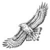 Ideen mit Herz Fine-Outline Stamp, Eagle, 15 x 15 cm view 1